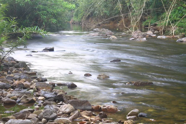 Sungai Hutan Dalam Sungai Hutan Evergreen Thailand — Stok Foto