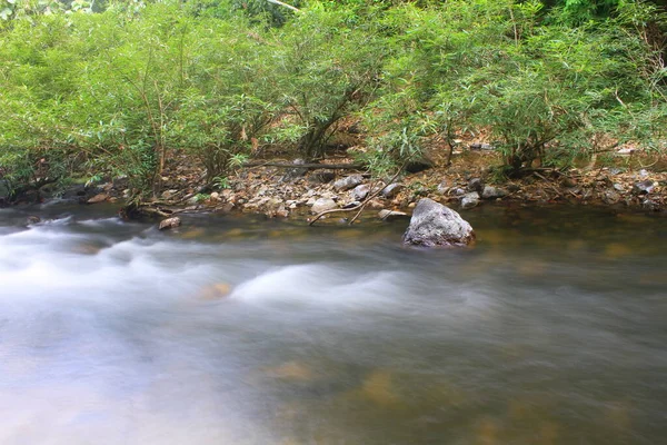 Rio Floresta Profunda Rio Floresta Sempre Verde Tailândia — Fotografia de Stock