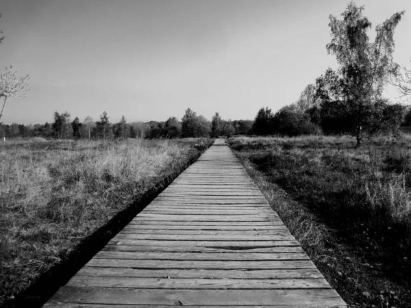 Holzbrücke Park — Stockfoto