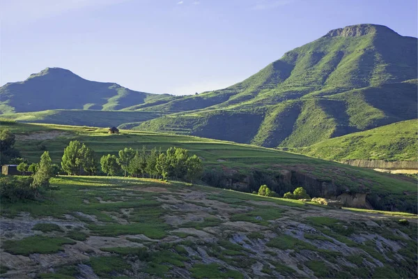 여름의 고도의 레소토의 지대를 녹색으로 물들이게 — 스톡 사진