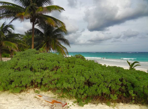 Tropical Beach Scenery Playa Paraiso Mexico — Stock Photo, Image