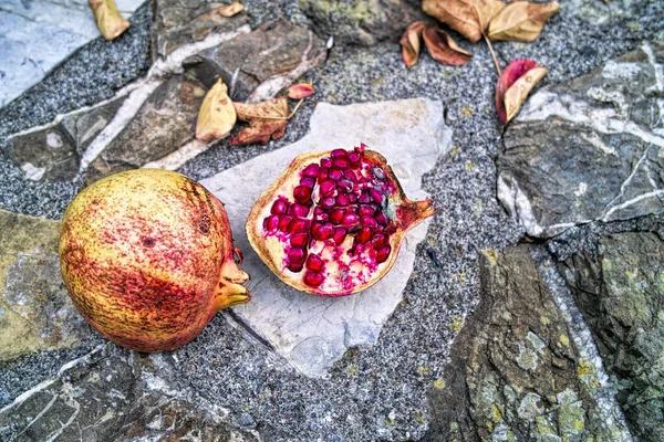 Grenade Dans Jardin Près Chez Moi — Photo