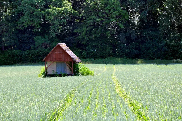 Schöne Aussicht Auf Die Natur — Stockfoto