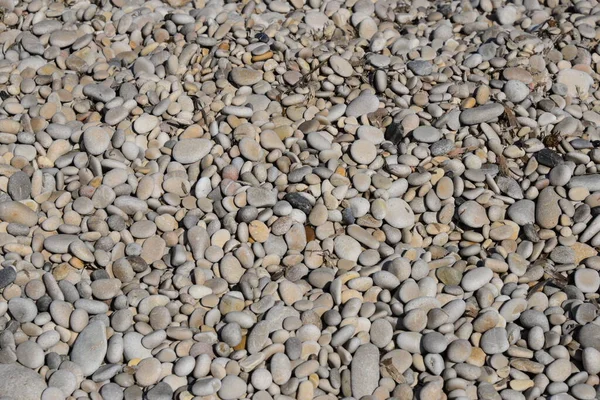 Tegels Het Strand Grijze Rotsen — Stockfoto