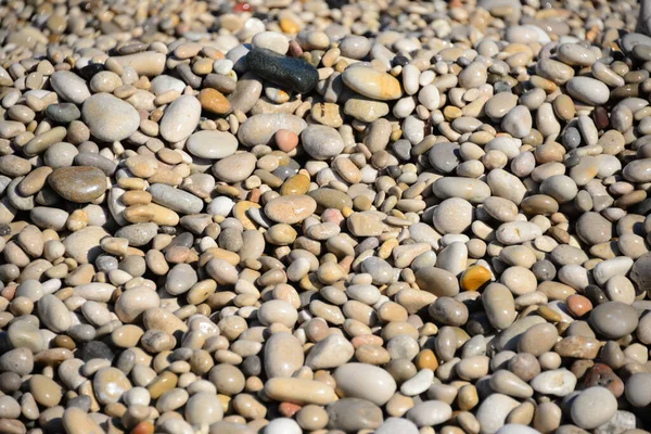 Kövezetek Strandon Szürke Sziklák — Stock Fotó