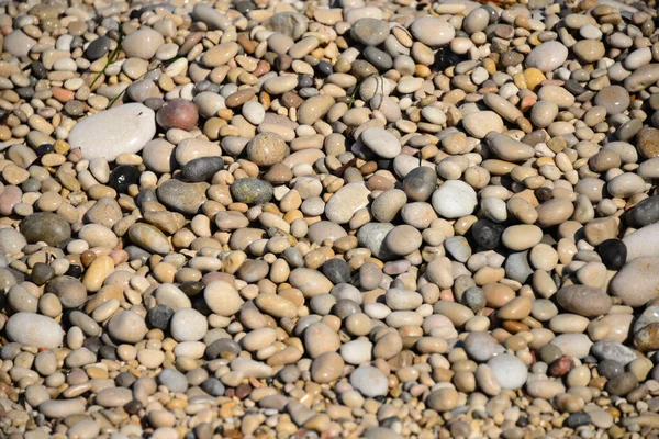 Tegels Het Strand Grijze Rotsen — Stockfoto