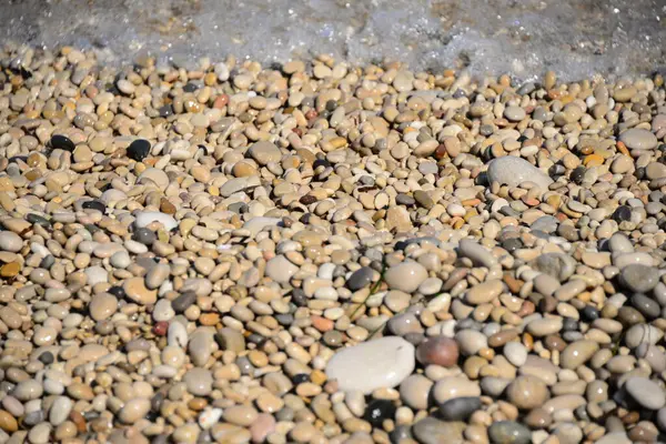 Bruk Kamienie Plaży Szare Skały — Zdjęcie stockowe
