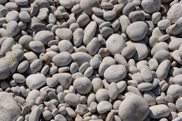 Tegels Het Strand Grijze Rotsen — Stockfoto