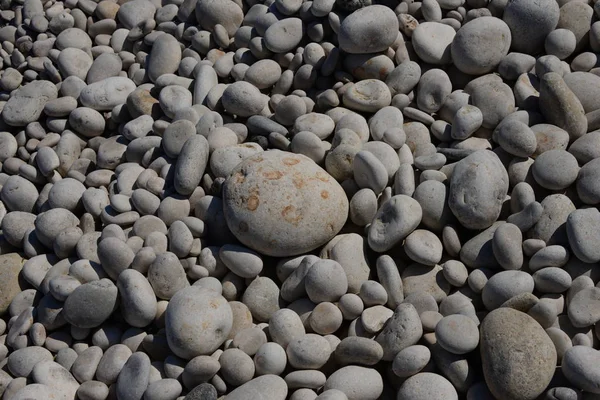 Piedras Pavimentadas Playa Rocas Grises — Foto de Stock