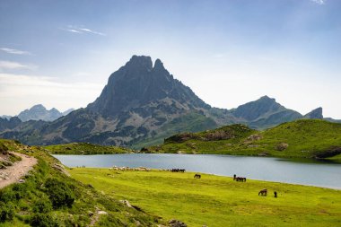 a view of the Pic du Midi d'Ossau in the French Pyrenees clipart