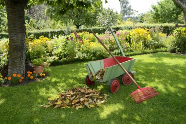 wheelbarrow with flowers in the garden clipart