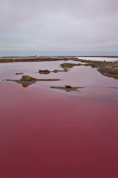 Lagoon Walvis Large Evaporation Basin Salt Extraction Have Been Created — Stock Photo, Image