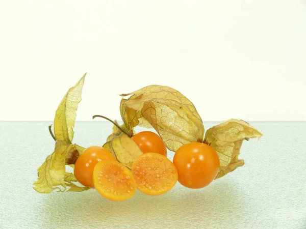 Physalis Lucerny Zavřít Pohled — Stock fotografie