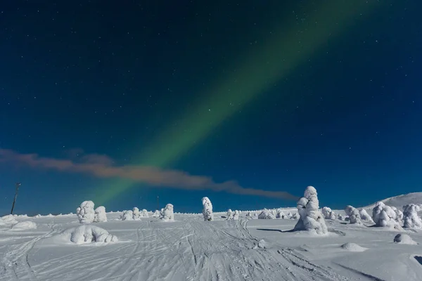 Aurora Boreal Polar Luzes Norte — Fotografia de Stock