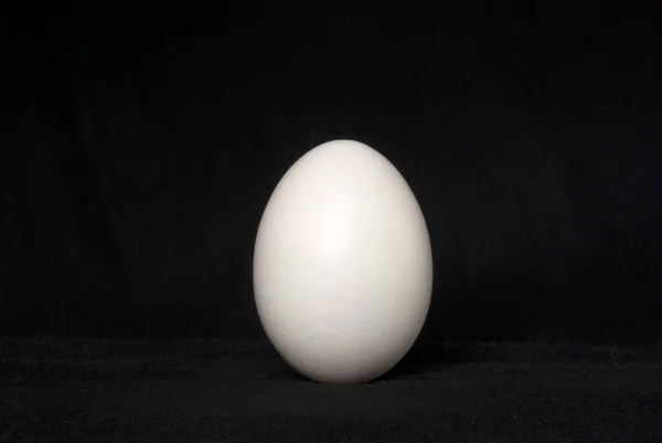 Λευκό Αυγό Κοτόπουλου Μαύρο Φόντο — Φωτογραφία Αρχείου
