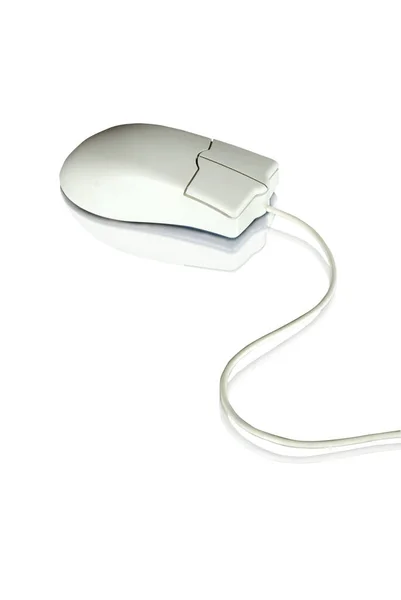 Computer Mouse Isolated White Background — Stock Photo, Image