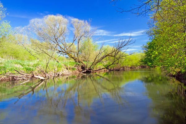 Bela Vista Paisagem Natureza — Fotografia de Stock