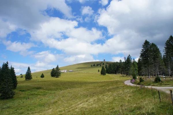 Sentier Menant Feldberg Dans Forêt Noire — Photo