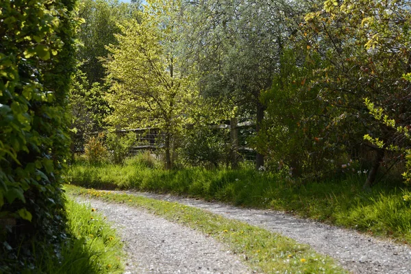 Tree-lined stone path leads around a corner