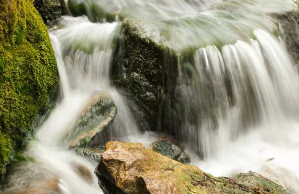 Bella Vista Della Scena Della Natura — Foto Stock