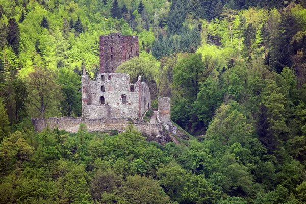 Vue Panoramique Sur Architecture Médiévale Majestueuse — Photo