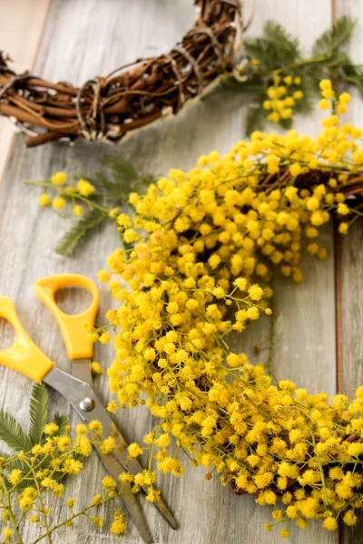 Mimosa Floreciente Primavera Trenza Una Corona Decorativa — Foto de Stock