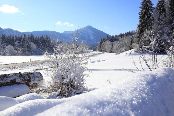 Pittoresk Utsikt Över Snötäckta Vinterlandskap — Stockfoto