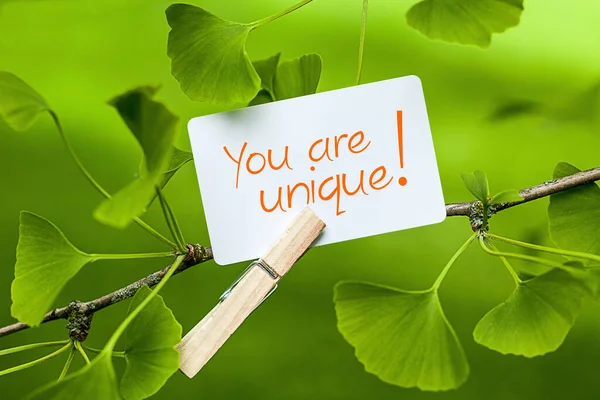 Tarjeta Felicitación Con Hoja Verde Palabra Gracias — Foto de Stock