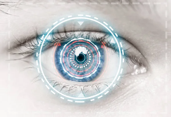 biometric hi-tech security scan