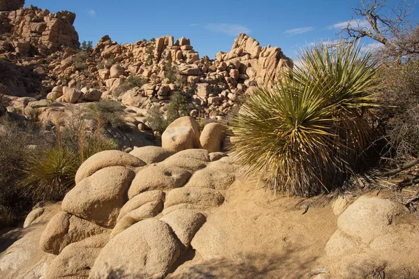 Landschaft Hidden Valley Joshua Tree Nationalpark Kalifornien Den Usa — Stockfoto