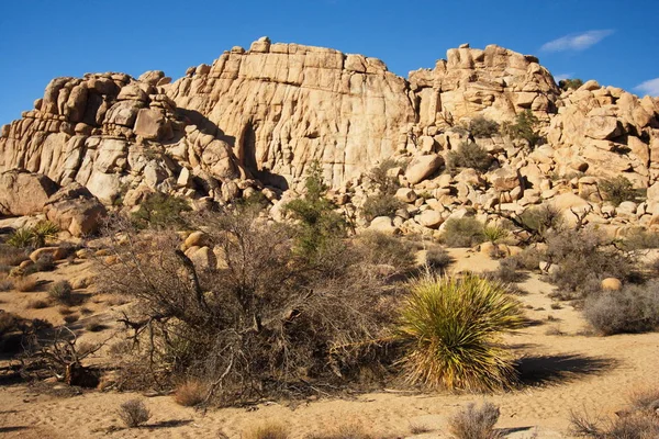 Landscape Hidden Valley Joshua Tree National Park California Usa — Stock Photo, Image