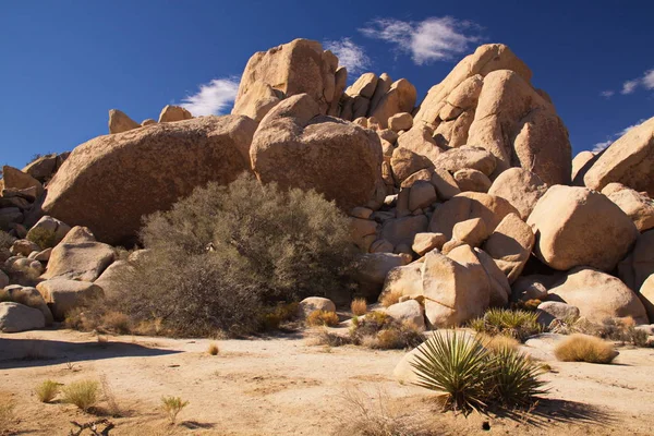Σχηματισμός Βράχου Στο Εθνικό Πάρκο Τζόσουα Τρι Στην Καλιφόρνια Στην — Φωτογραφία Αρχείου