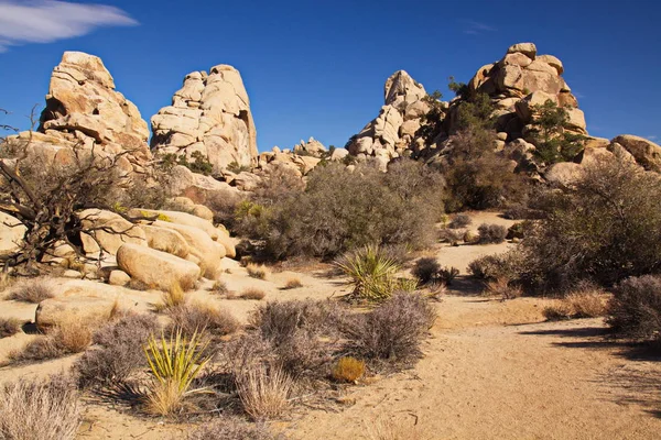 Krajina Národním Parku Joshua Tree Kalifornii Usa — Stock fotografie