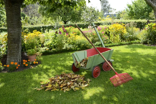 Carretilla Con Flores Jardín — Foto de Stock