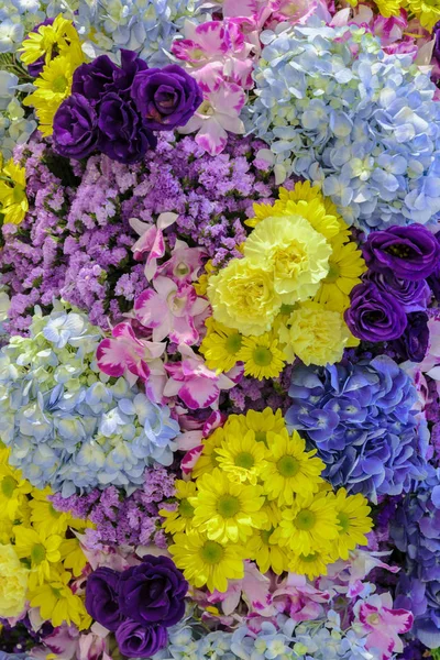 Krásné Přírodní Květiny Okrasné Zahradní Zdi Pozadí Různými Typy Květin — Stock fotografie