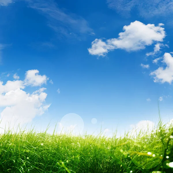 Voorjaarsweide Met Blauwe Lucht Witte Wolken Voor Een Paasversiering — Stockfoto