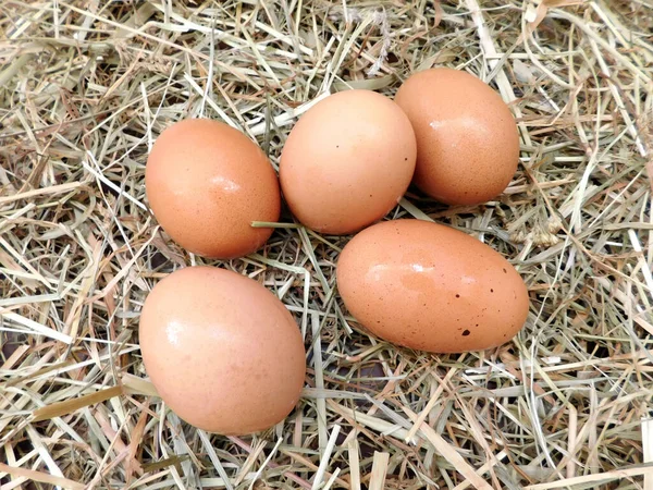 Nahaufnahme Von Lebensmitteln Selektiver Fokus — Stockfoto