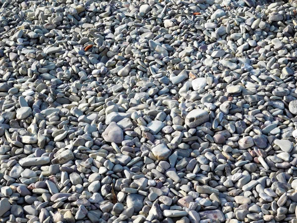 Piedras Guijarros Rocas Naturaleza — Foto de Stock