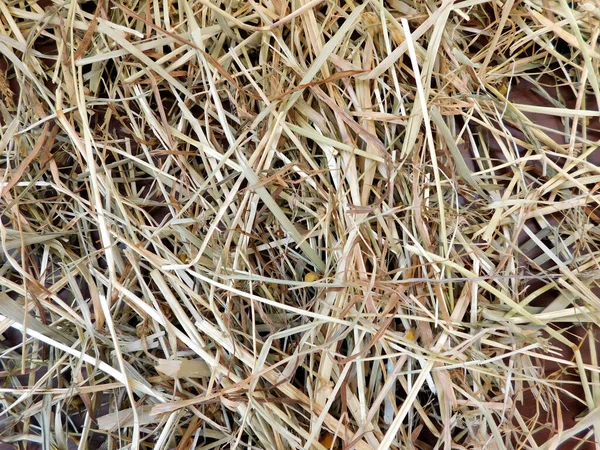 Aussichtsreicher Blick Auf Die Landwirtschaft Auf Dem Land — Stockfoto