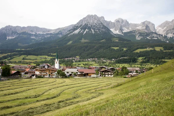 Panorama Des Alpes — Photo