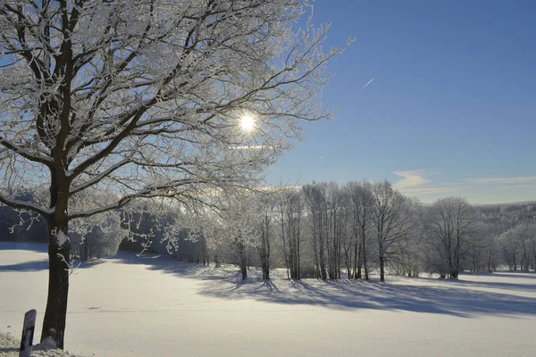 Oberlausitzer Bergland Près Weifa Hiver — Photo