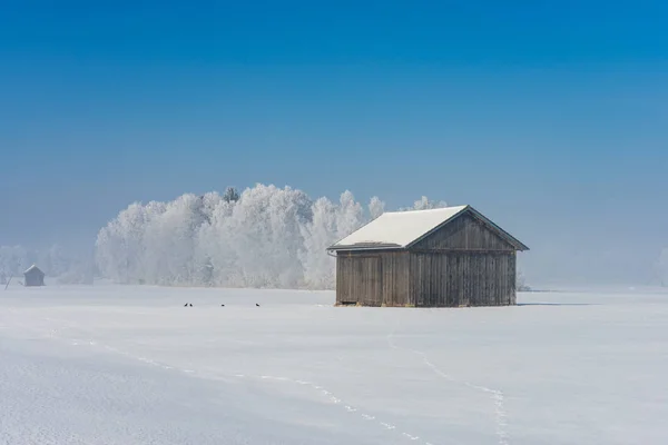 Malebný Pohled Zasněženou Zimní Krajinu — Stock fotografie