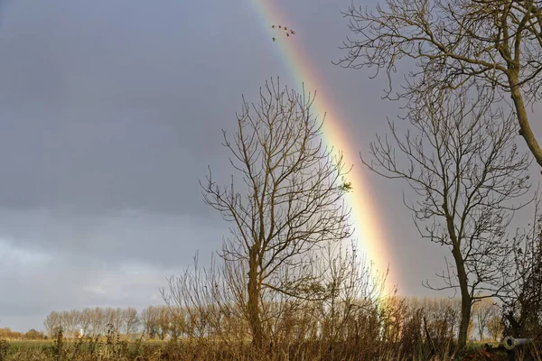 Arcobaleno Autunno — Foto Stock