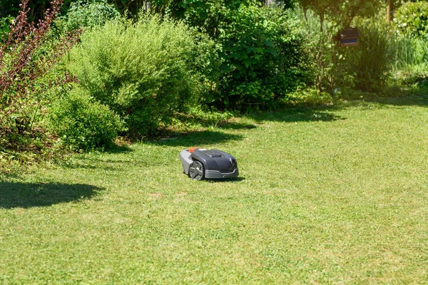 Wireless Lawn Mower Robot Auto Trimming Grass Garden — Stock Photo, Image