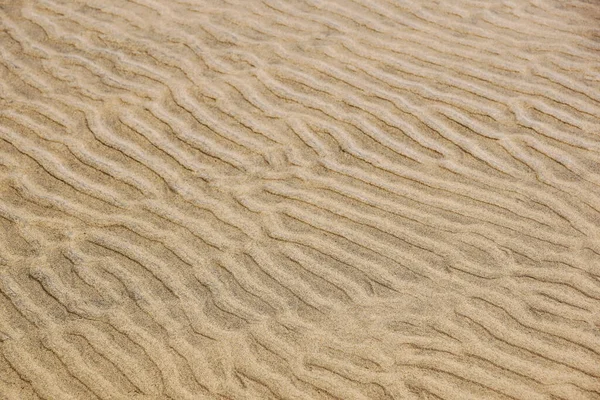 Clear Water Sand Bottom Wind Sand Waves Sunbeams — Stockfoto