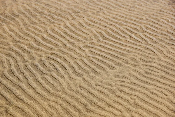 Clear Water Sand Bottom Wind Sand Waves Sunbeams — Zdjęcie stockowe