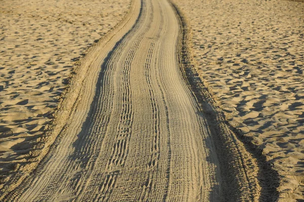 Tracks Golden Sand Leading Sea — Stock Photo, Image