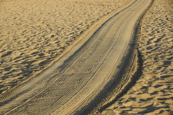 海に至る金色の砂のトラック — ストック写真