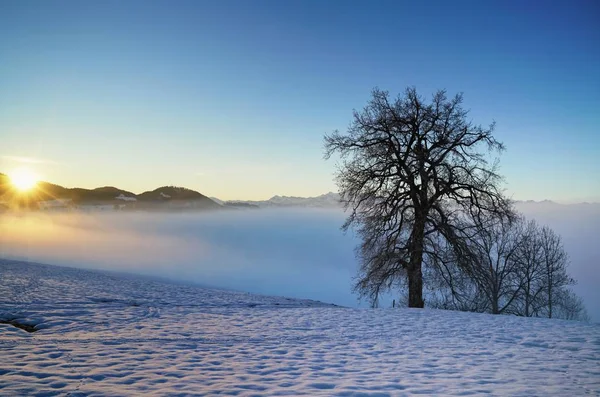 Vista Panoramica Maestosi Paesaggi Alpini — Foto Stock