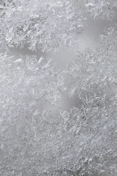 Close Image Some Icy Flowers Frozen Window — Stock Photo, Image